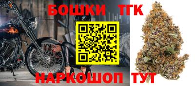 молекула духа Будённовск