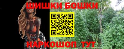 молекула духа Будённовск