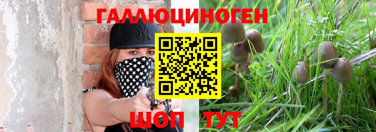 Галлюциногенные грибы мицелий Сальск